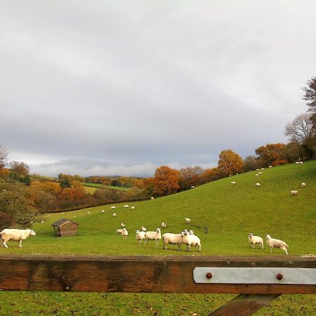 Gwilym'S Stable Leilighet Builth Wells Eksteriør bilde