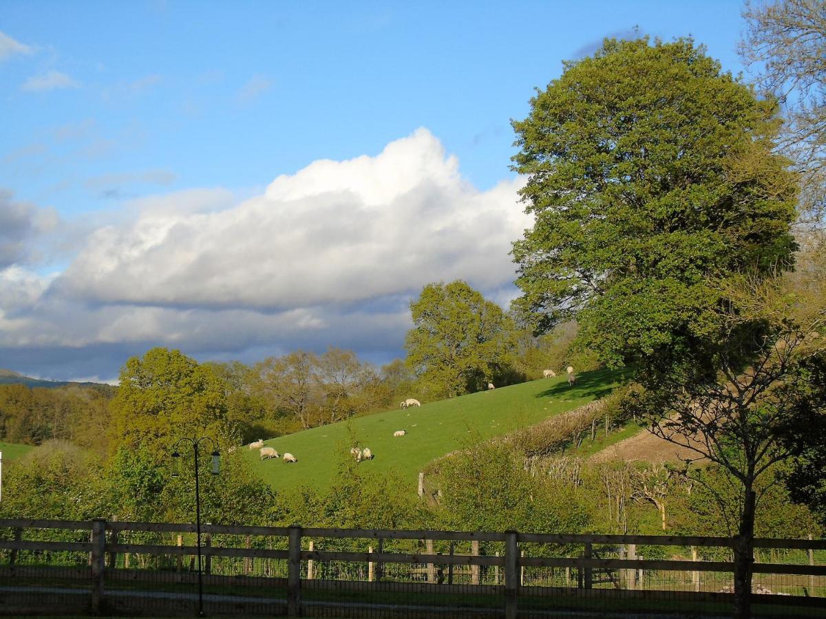 Gwilym'S Stable Leilighet Builth Wells Eksteriør bilde